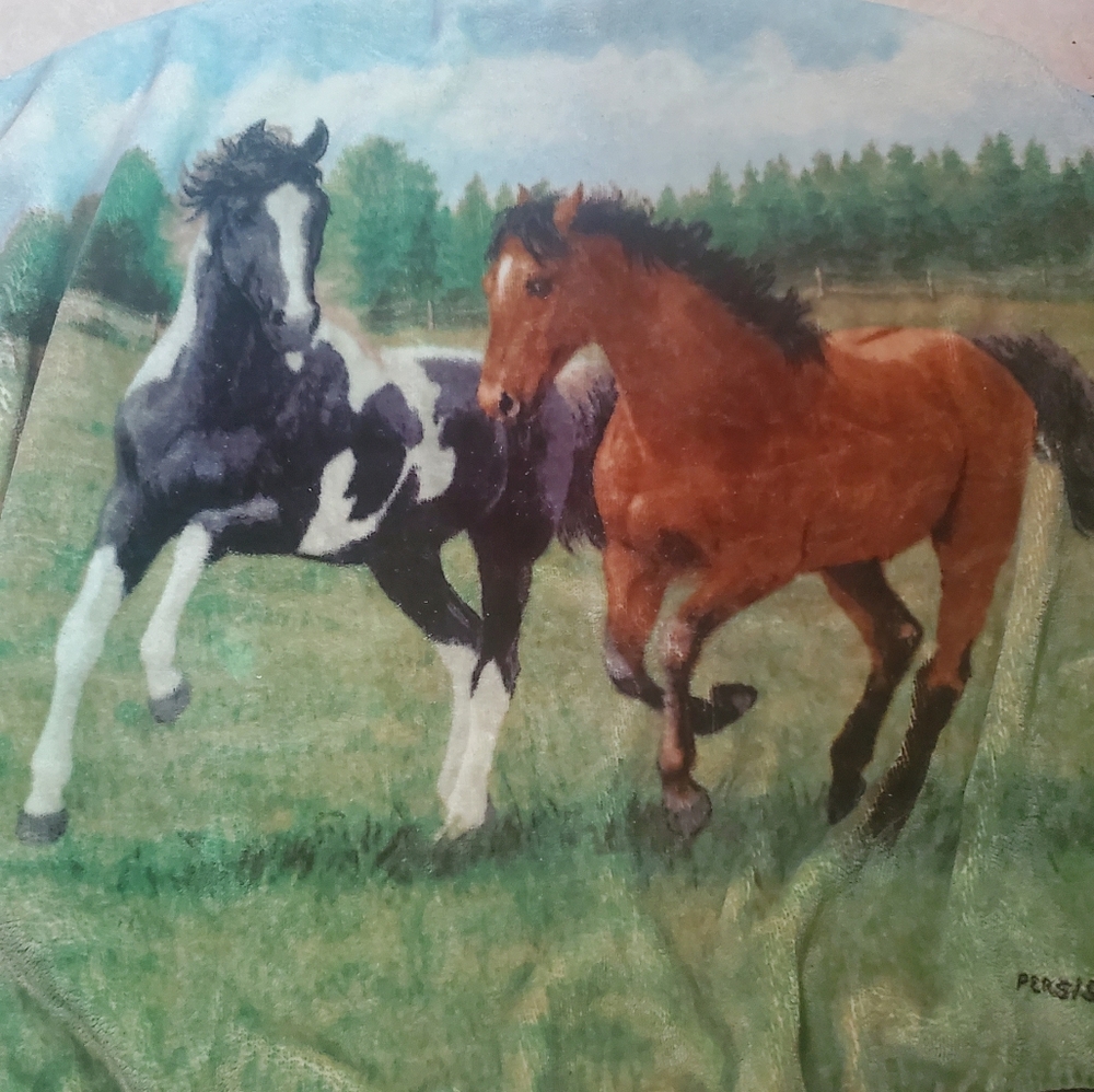 Horse Throw Blanket Plush Fleece, Rustic home